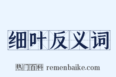 细叶反义词是什么意思的图片